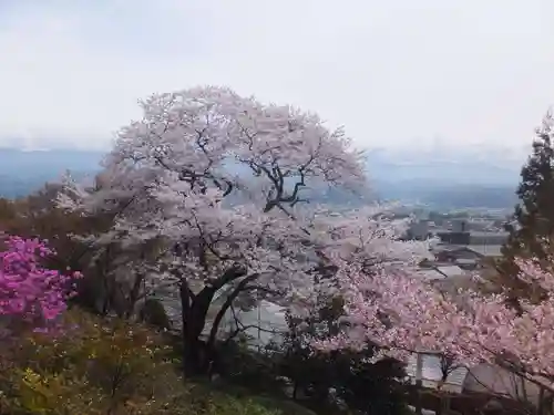 座光如来寺（元善光寺）の自然