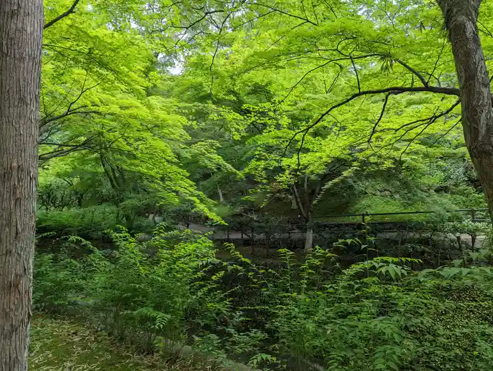 北野天満宮(京都府)