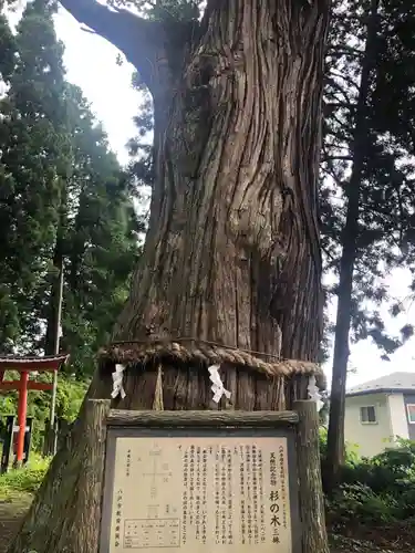 七崎神社(青森県)