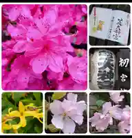 芝大神宮(東京都)