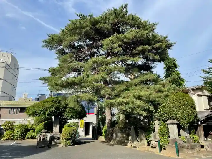 理性寺(東京都)
