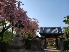 荘厳寺の山門