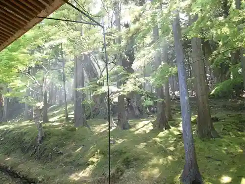 若狭神宮寺の建物その他