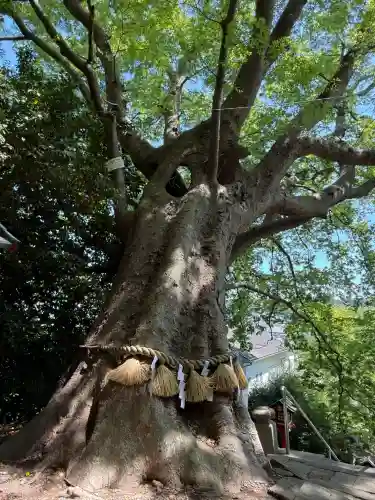 常陸第三宮　吉田神社(茨城県)
