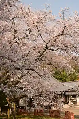掌禅寺(愛媛県)