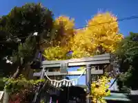 菊名神社の鳥居