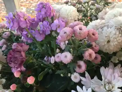 彌彦神社　(伊夜日子神社)の手水舎