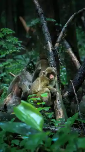 穂高神社奥宮(長野県)