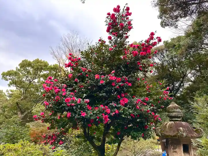 一宮神社(福岡県)