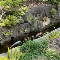 東福寺(東京都)