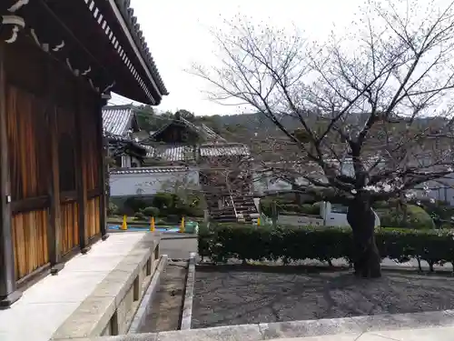 常光院(京都府)