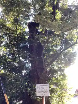 御首神社(岐阜県)