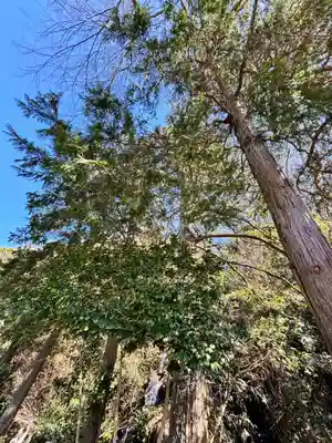 瀧川神社(静岡県)