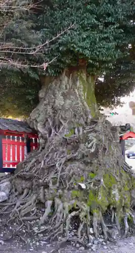 大将軍神社(滋賀県)