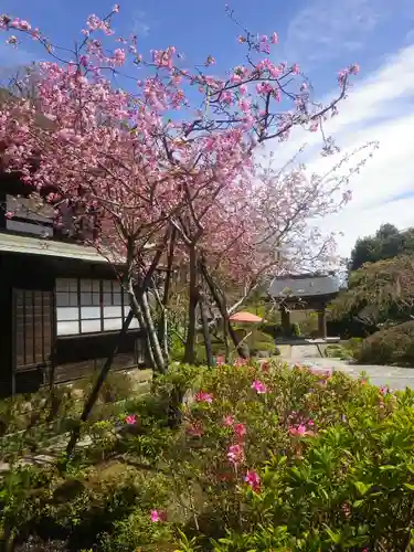 海蔵寺の庭園