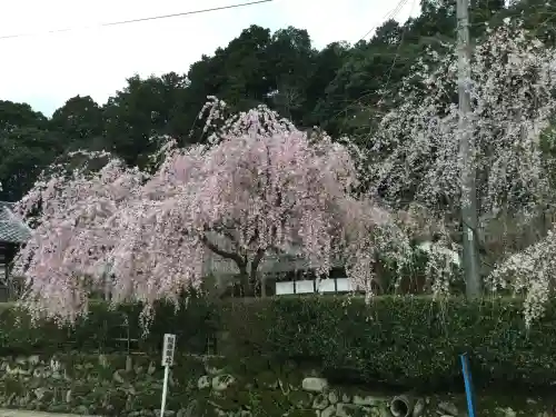 大野寺(奈良県)