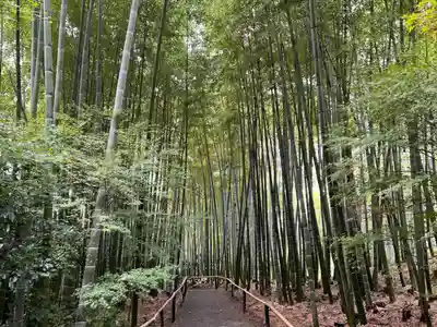 高台寺（高台寿聖禅寺・高臺寺）(京都府)