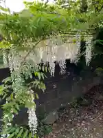 大山祇神社の自然
