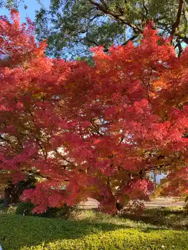 大嘗宮の庭園