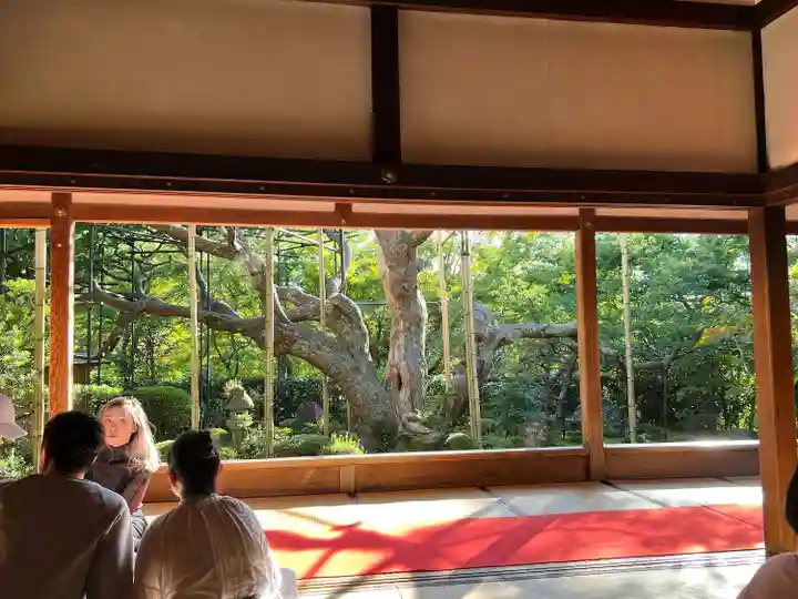 宝泉院(京都府)