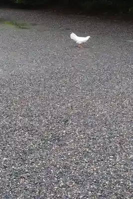 伊勢神宮外宮（豊受大神宮）(三重県)