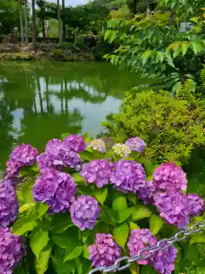 明月院(神奈川県)