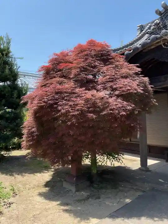 無量山 祖山寺(愛知県)