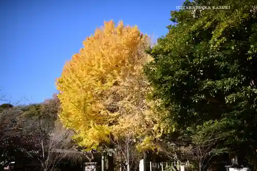 葛原岡神社(神奈川県)