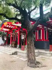 御霊神社(大阪府)