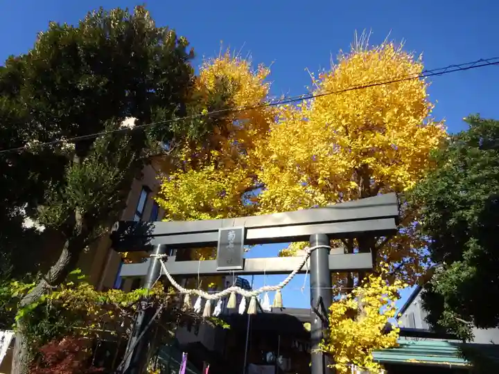 菊名神社の鳥居