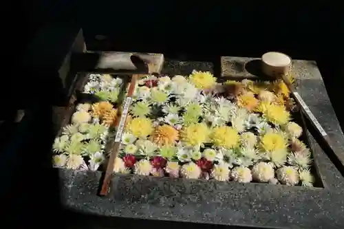  岳温泉神社 の手水