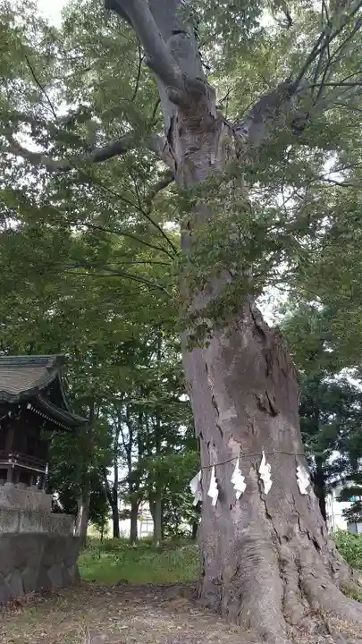 鳥海月山両所宮の自然