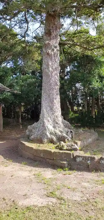 鶴谷八幡宮の自然