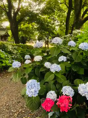 御裳神社の自然