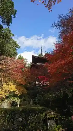 金剛輪寺の塔