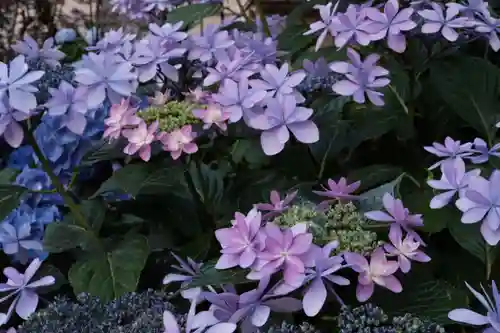 白山神社の自然