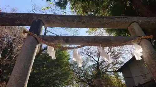 唐澤山神社の鳥居