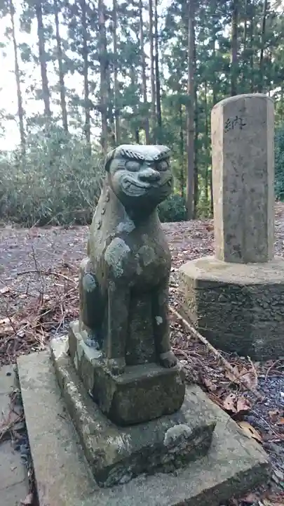 櫻神社の狛犬