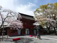 富士山本宮浅間大社の本殿