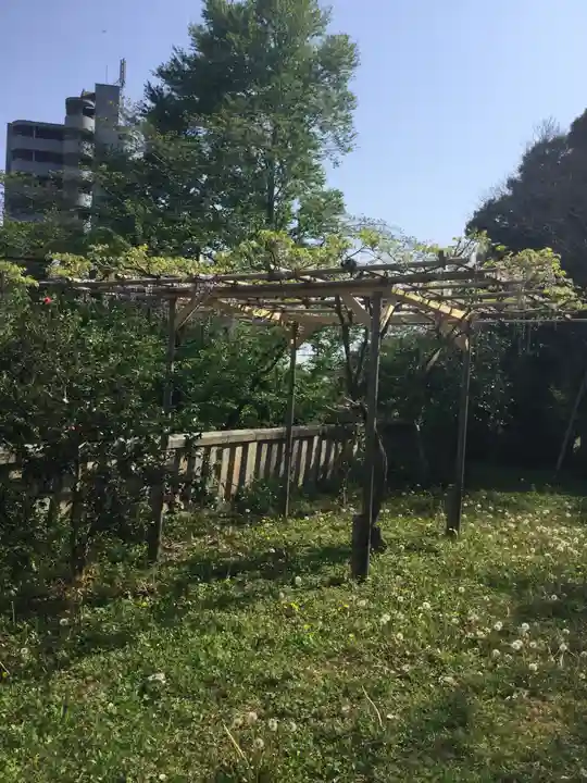 八雲神社(緑町)の自然