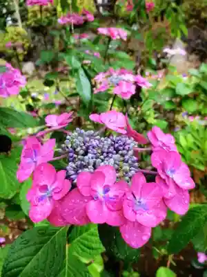 鳩森八幡神社(東京都)
