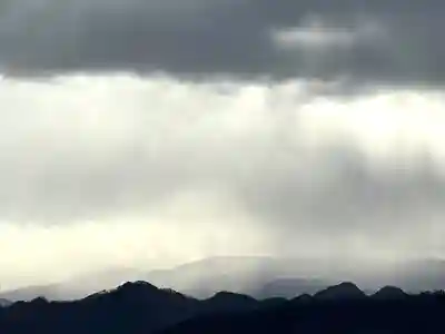 白鳥神社(長野県)