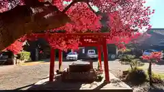 佐久奈度神社(滋賀県)