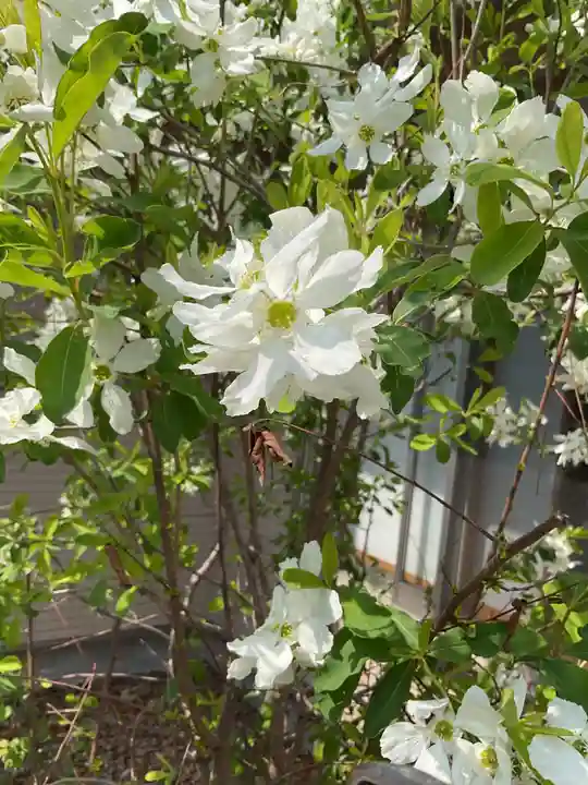富部神社(愛知県)