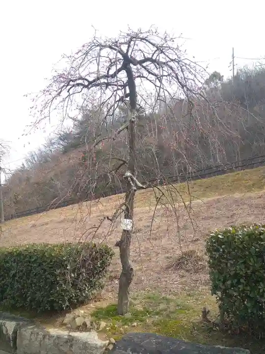 神前神社の自然