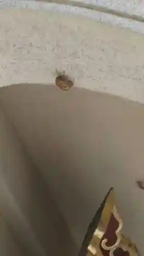 駒形神社(静岡県)