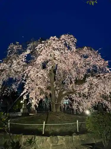 観音神社(広島県)
