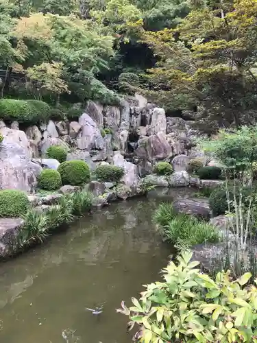 宝徳寺の庭園