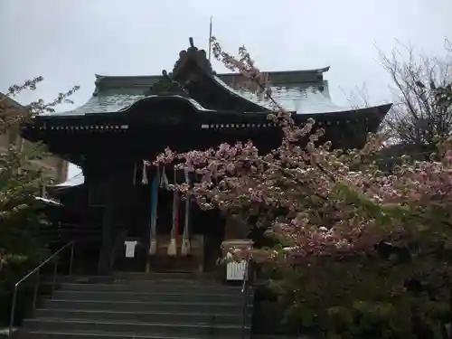 桜神宮の本殿