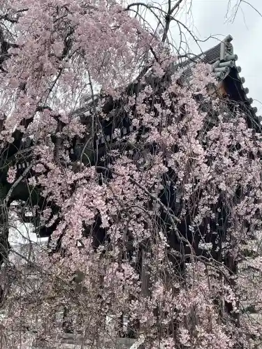 吉祥寺(東京都)